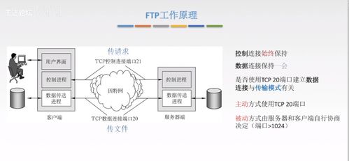計算機網(wǎng)絡應用層核心技術 從C/S到P2P，從DNS到HTTP