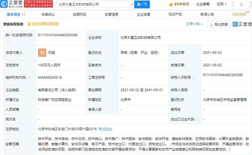深圳計算機系統服務 數字時代的創新引擎與產業支柱